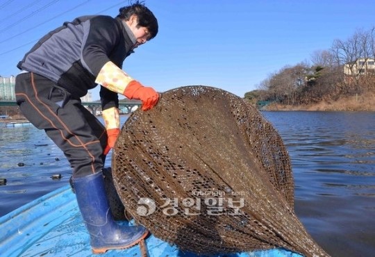 농어촌공사 수질개선 헛물