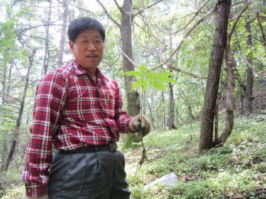 조남상 신임 산림복합경영인 중앙회장