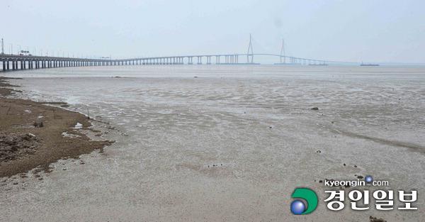 갯벌조업 시한부 판정 ‘송도·척전 어촌계’