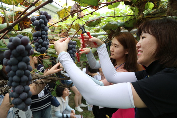 영양교사들 ‘완주 로컬푸드 체험연수’