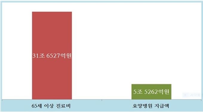 요양병원이 건보재정 갉아 먹는 하마? 