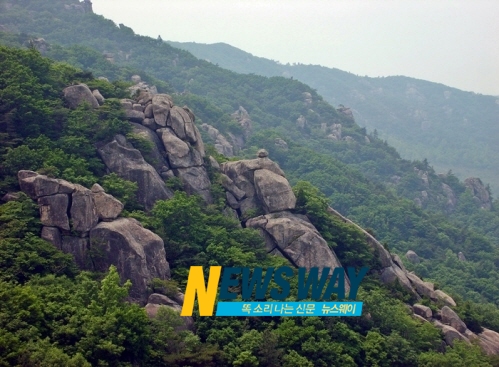 고흥군의 명산 마복산 목재문화체험장 조성
