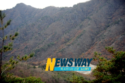 순창 대법원 가인연수관 법조인에 인기