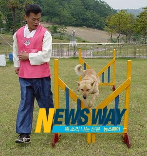 진도개 전문인력 60여명 배출