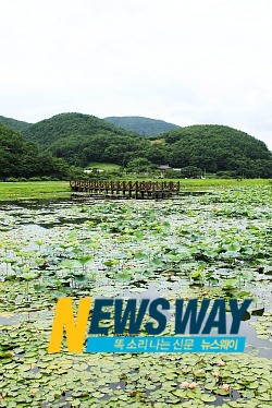 고성의 맛과 멋을 찾아..(17) 은은한 연꽃 향기로 무더위를 잊어보세요