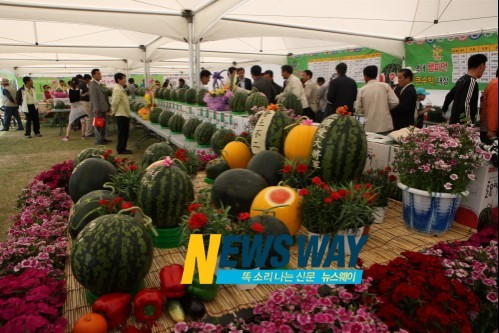 제13회 의령 토요애 수박축제 12일 개최