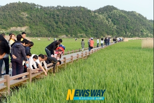 순천만 1박 2일 체험 생태 탐방객에 인기