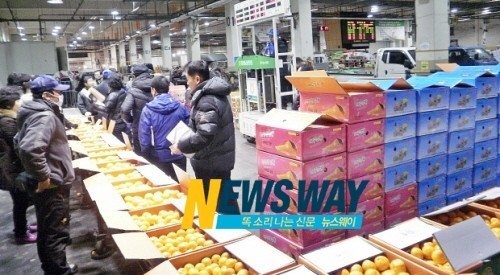 농협창원공판장 농산물 판매 500억원 달성