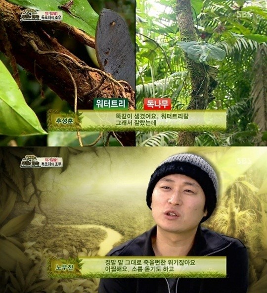 정글 병만족 죽음의 위기 워터트리인 줄 알았더니 독나무