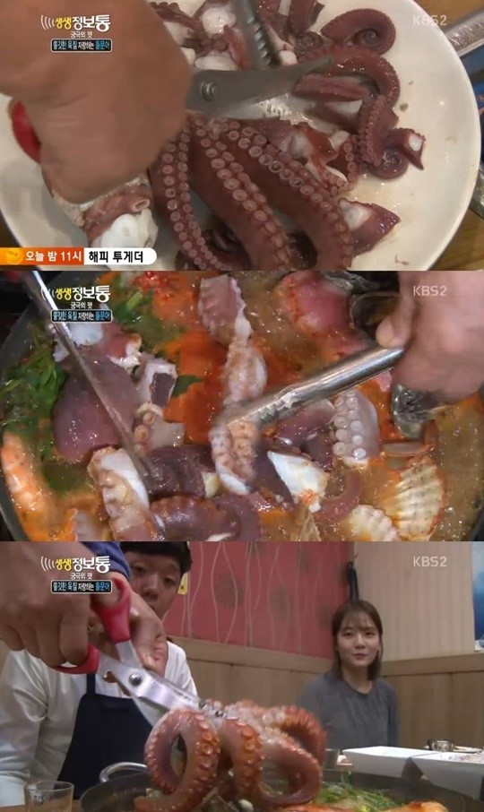 피문어 해물탕 vs 돌문어 해물찜, 강원도와 전라도의 맛 대결 (생생정보통)