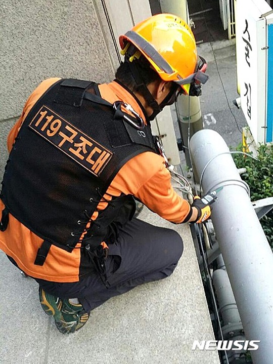 광안리 개미떼·부산울산 가스냄새·심해 갈치, 지진 전조현상 괴담 확산