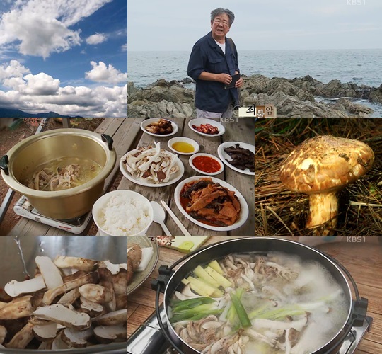 최불암, 경북 영덕 송이버섯 풍년에 훈훈 미소(한국인의 밥상)