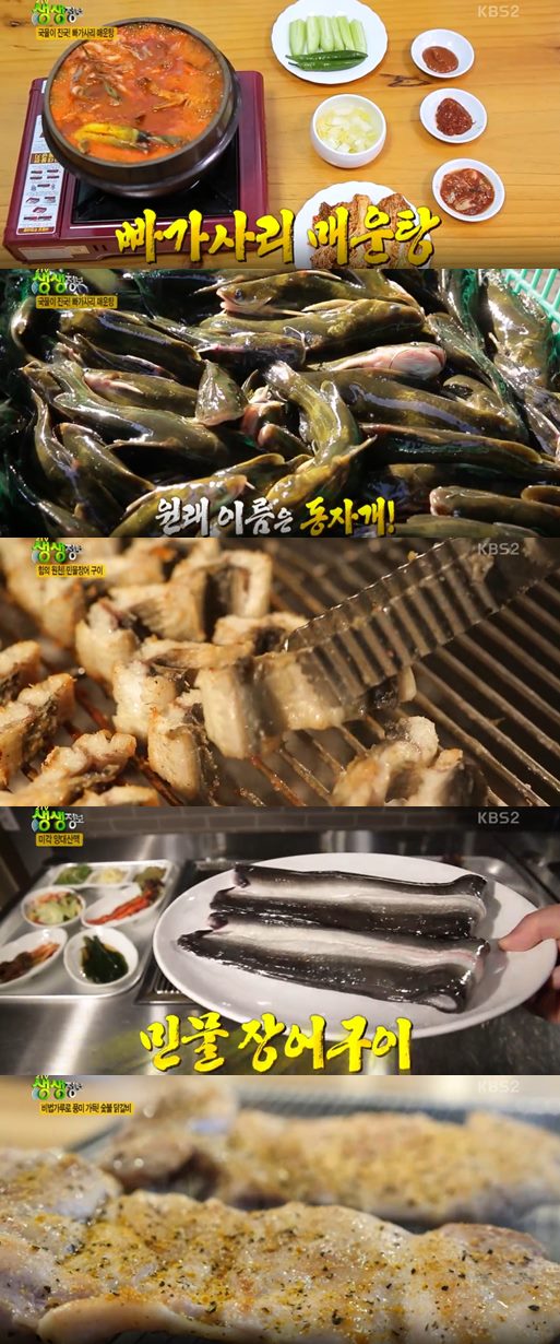빠가사리 매운탕+민물장어구이+숯불닭갈비 맛집 (2TV 생생정보)