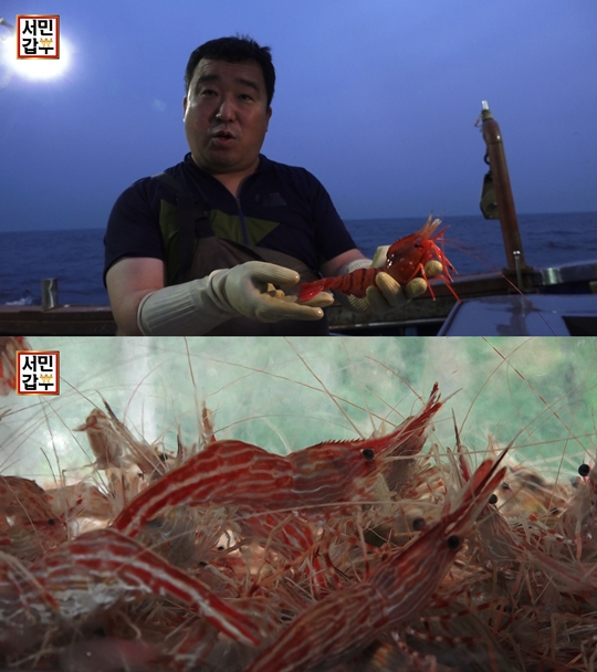 독도 새우로 연 매출 25억 올린 ‘서민갑부’ 사연