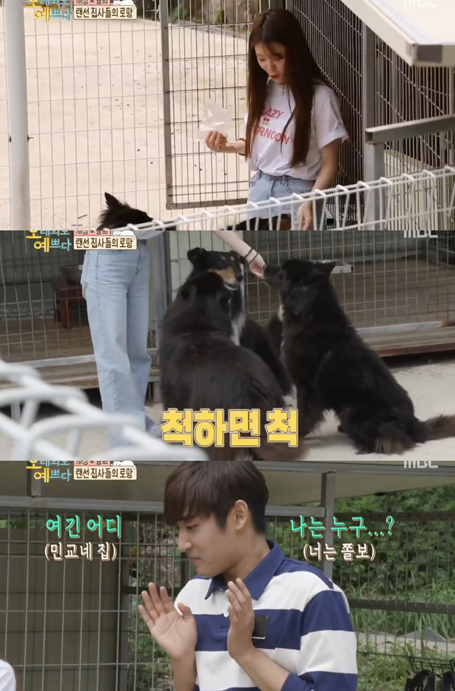 오마이걸 승희, 만능 개집사 빙의 (오래봐도 예쁘다)