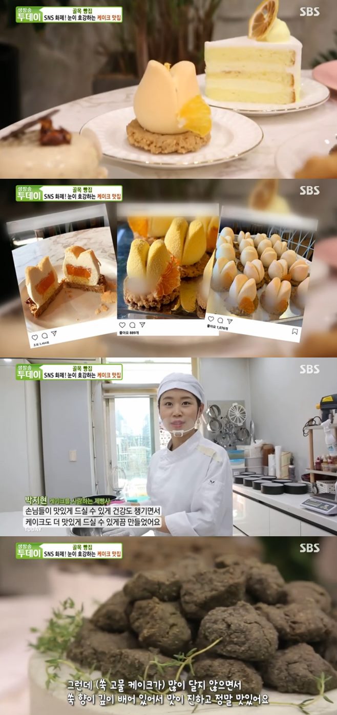 ‘생방송투데이’ 일산 슈라즈케이크+장어덮밥(노다지장어)+매운양대창(초대창) 맛집
