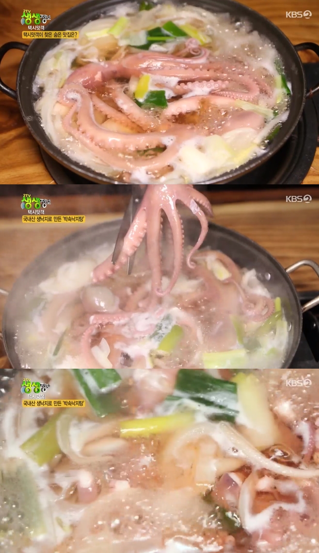 2TV 생생정보 택시맛객 박속낙지탕(서해박속낙지), 최고의 재료 어디?