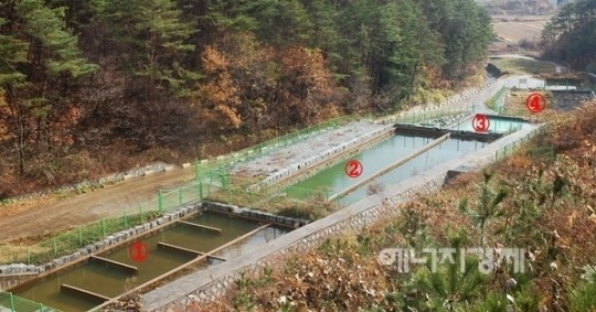 [기획] 산림복구·수질정화시설 함께 갖춘 사업장  눈길