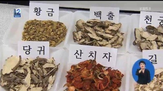 [오늘의 정보]최치원 초상화 정읍 환안, 표준어 13개 추가인정, 당귀의 효능, 대설주의보, 자동차 혼유사고 급증