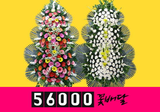 전국꽃배달서비스 ‘56000꽃배달’, 근조, 축하, 개업 등 화환당일배송 할인