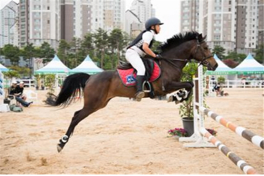 제6회 경기도지사배 승마대회, 안성팜랜드 일원서