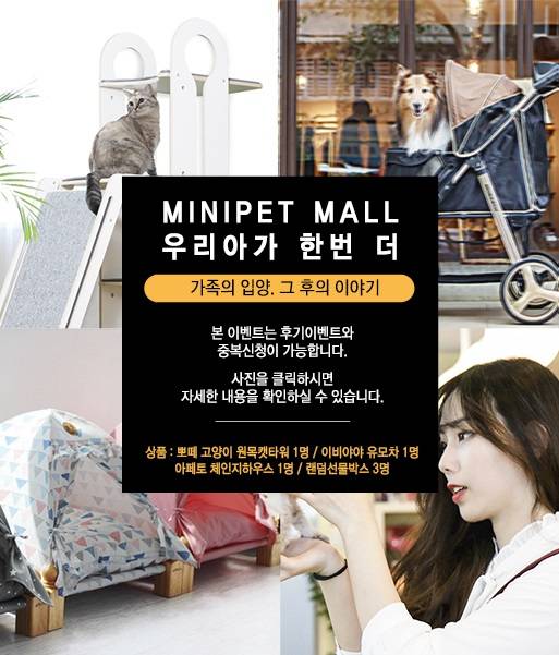 강아지·고양이 분양 업체 미니펫, 강남·부천·수원·인천 지점서 2가지 이벤트 동시 진행