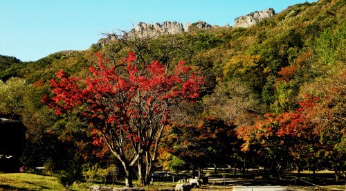고운 단풍 옷 입은 내장산으로 떠나볼까