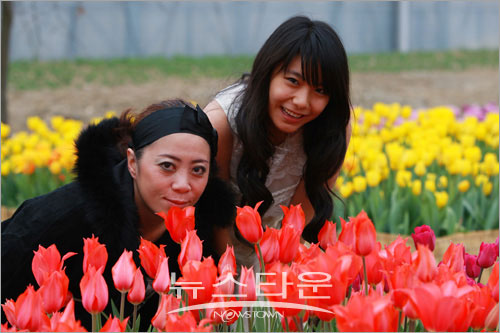 세계꽃식물원 튤립축제 성황