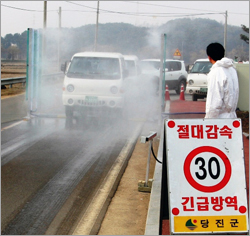 당진군, 구제역 재난안전대책본부 전환 및 차단총력