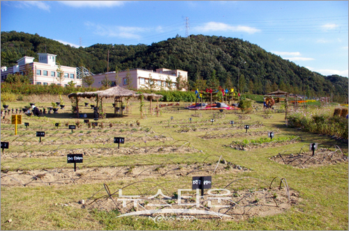 공주 어린이자연학습원 홈페이지 오픈