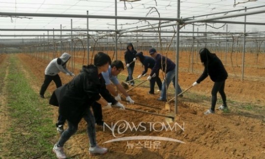 포도 농가 찾아 일손 나눈 (주)스테코 사회봉사단