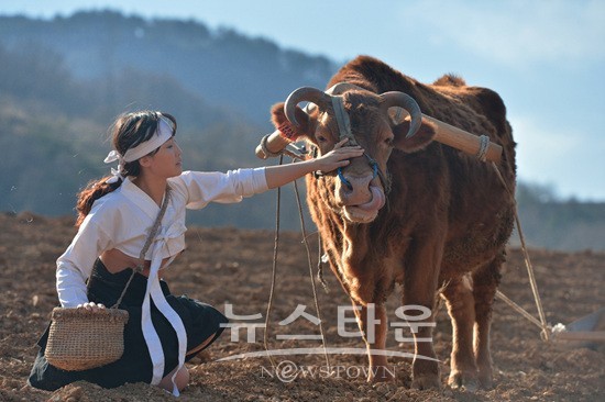 2015 동강문화예술제 개최
