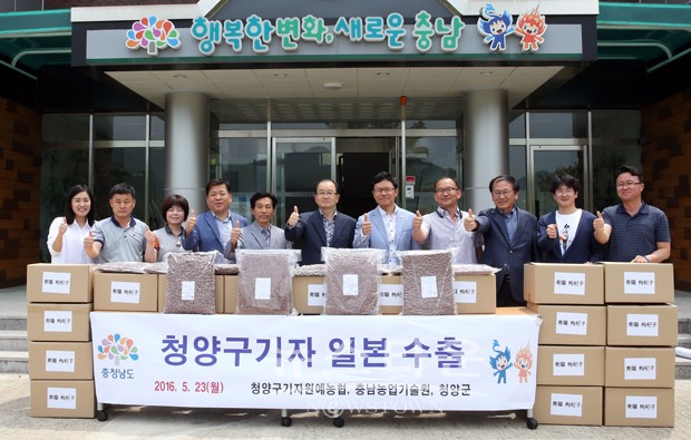 청양 구기자 일본 수출 길 첫 발 내딛어