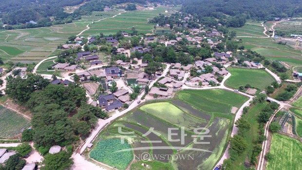 아산 신정호와 외암리민속마을에 연꽃만발