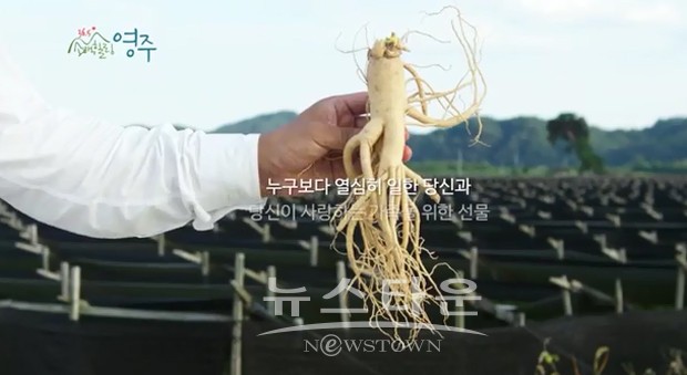 「2016경북영주풍기인삼축제」