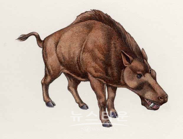 점신세(漸新世, 올리고세/Oligocene epoch: 3,390만~2,303만 년 전)(1/2)