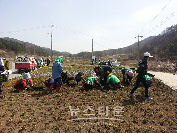 횡성군 서원면, 색깔있는 가로환경 조성 사업 추진