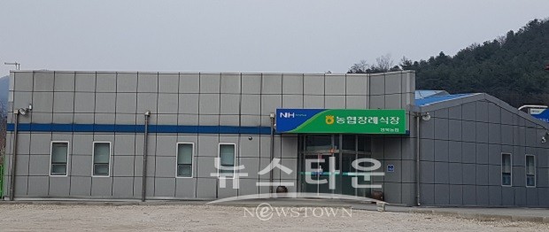 포천시 영북면 허름한 주유소, 영북면 단위농협 21억 매입 논란