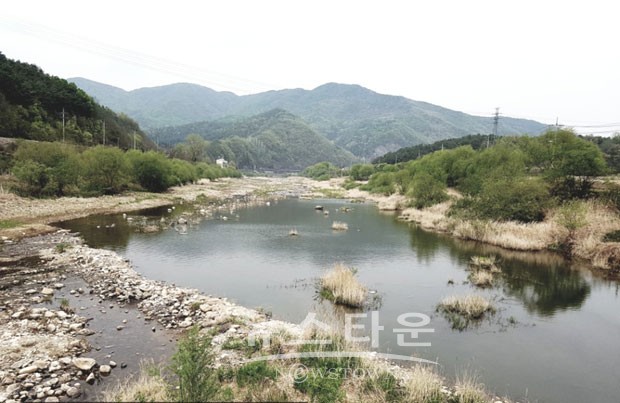 양평 별내마을과 무인카페 별내 이야기를 지키는 사람들