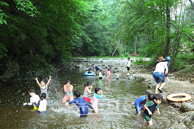 인제군 하늘내린 인제 산림복지지구 지정 확정!