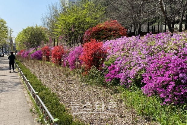 의정부시 송산1동, 주민과 함께하는 The G&B City 프로젝트