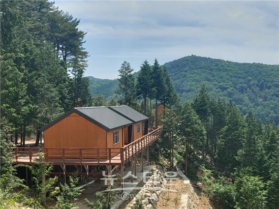 하동 옥종 편백휴양림 숲속의 집 오픈