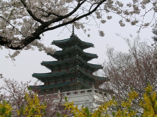<건축미감> 인천 송림경기장