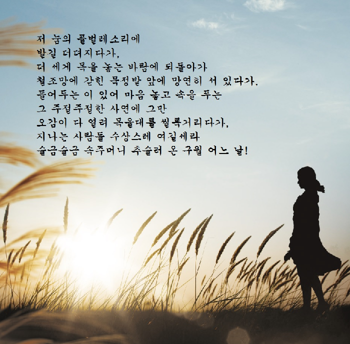 [詩로 읽는 세상이야기] 구월 찬가 - 김선화