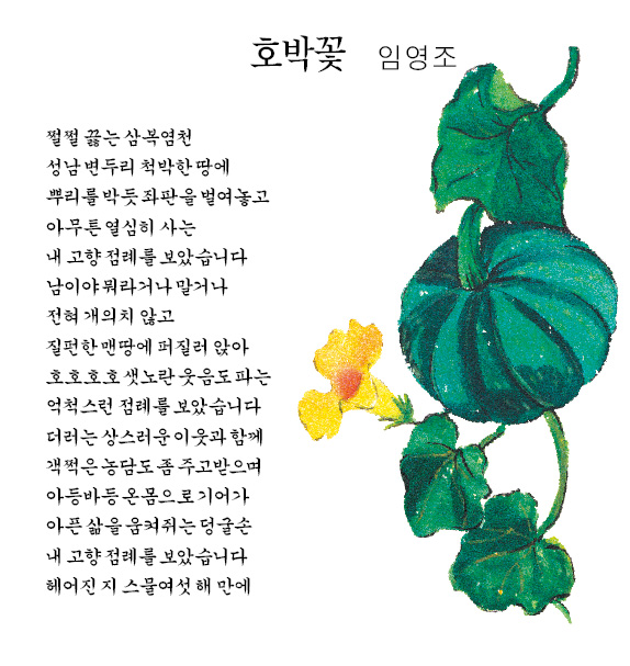 [詩로 읽는 세상이야기]  호박꽃