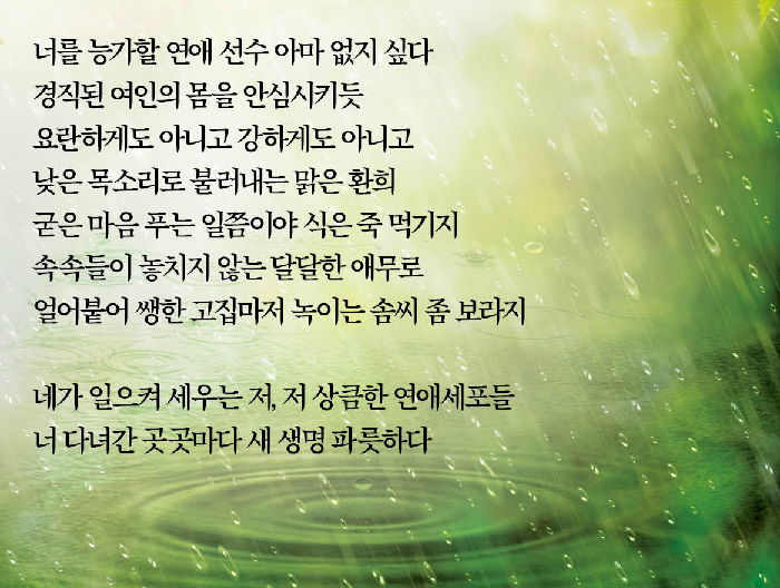 [詩로 읽는 세상이야기] 봄비 - 정소진