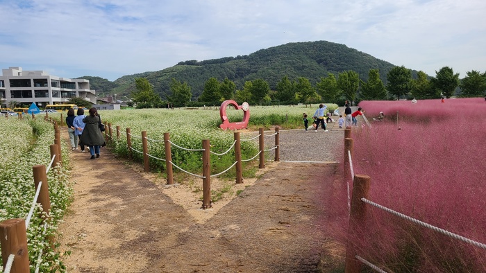 창원특례시, 덕동맑은물 플라워가든 개방