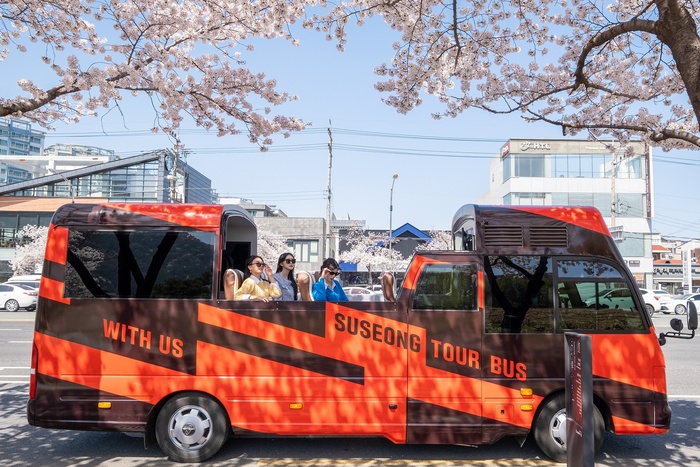 대구 수성구, 대구간송미술관 개관전 기간 수성투어버스 특별노선 추가 운영