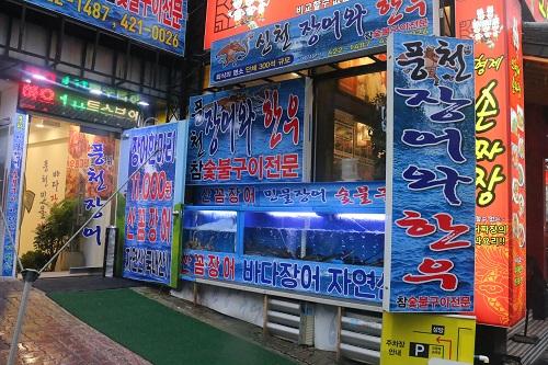 잠실 신천 맛집 장어와한우로 승부를본다