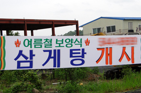여름철 보양식 삼게탕(?)
